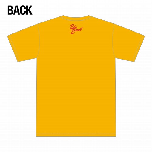 2018年春フェス　ボックスロゴTシャツ